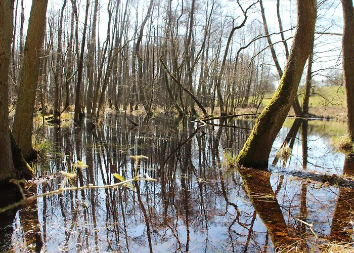 Apartman Ferienhuette Barsdorf